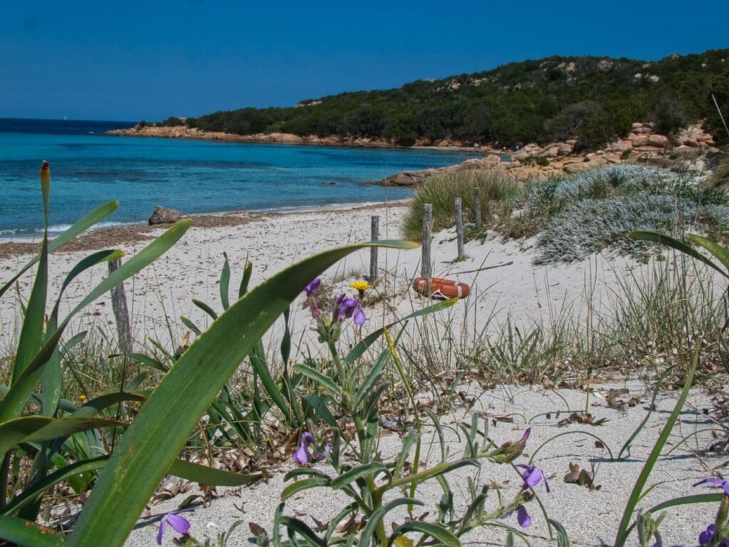 Spiaggia Grande Pevero, Porto Cervo