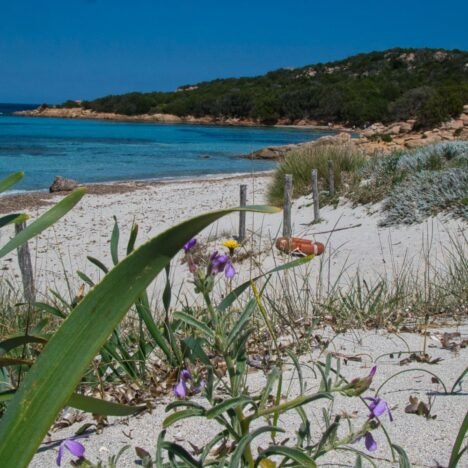 Santa Teresa Gallura