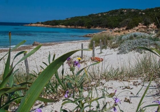 Spiaggia Grande Pevero, Porto Cervo