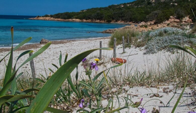 Spiaggia Grande Pevero, Porto Cervo