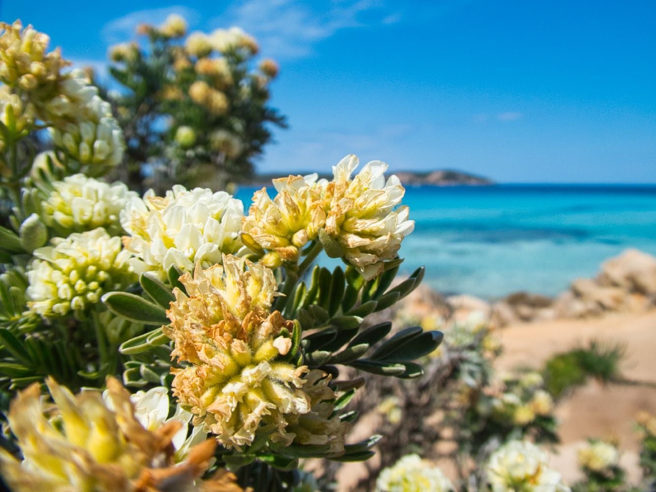 Spiaggia Grande Pevero, Porto Cervo