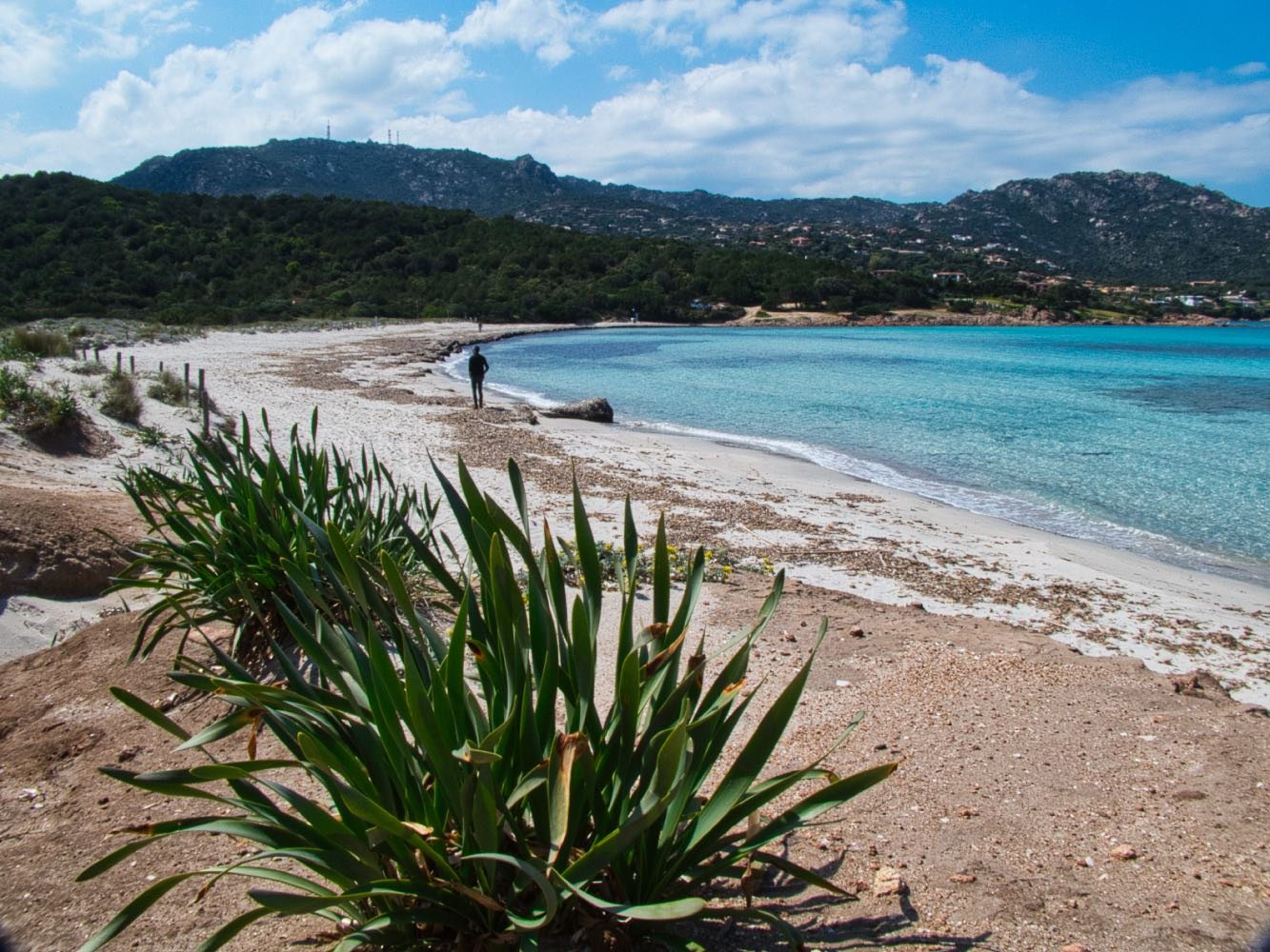 Spiaggia Grande Pevero, Porto Cervo