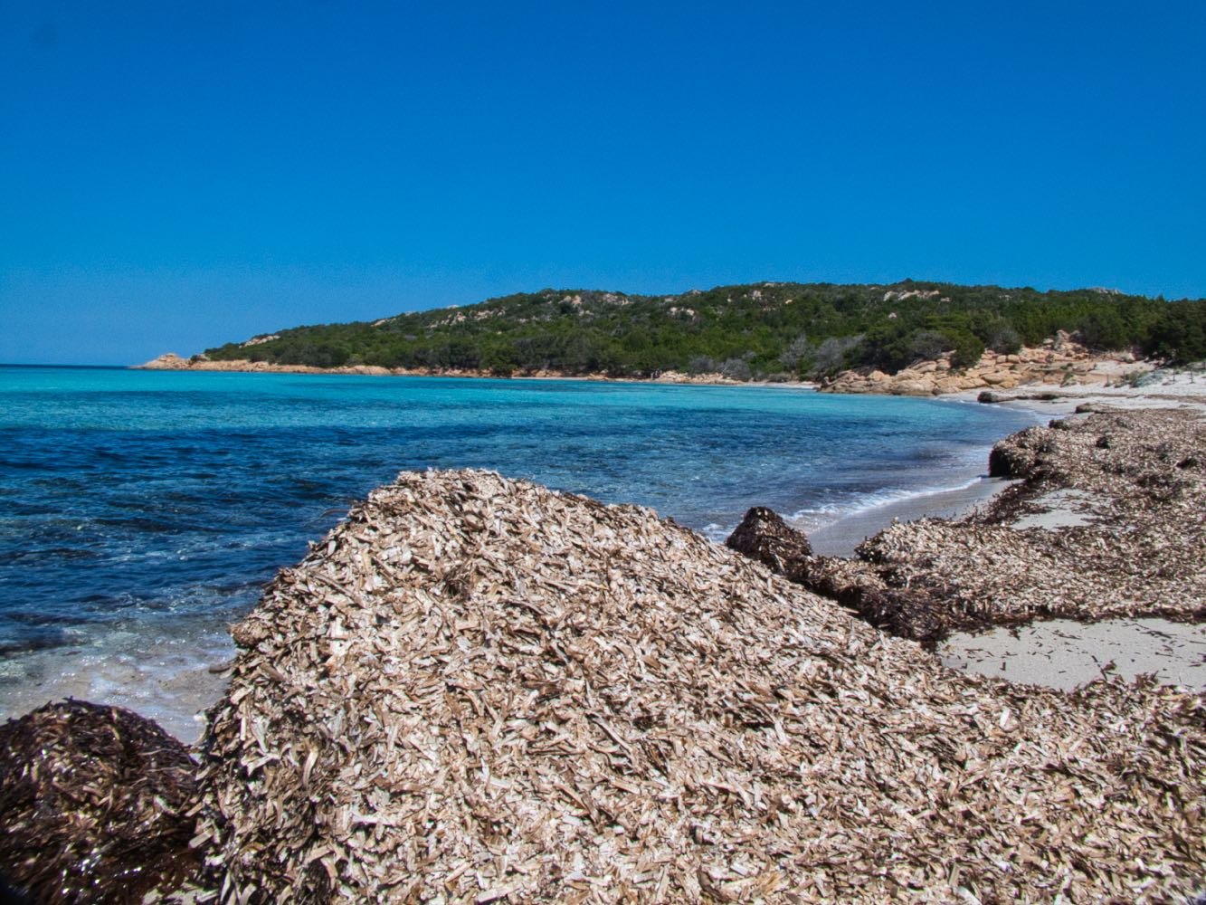 Spiaggia Grande Pevero, Porto Cervo