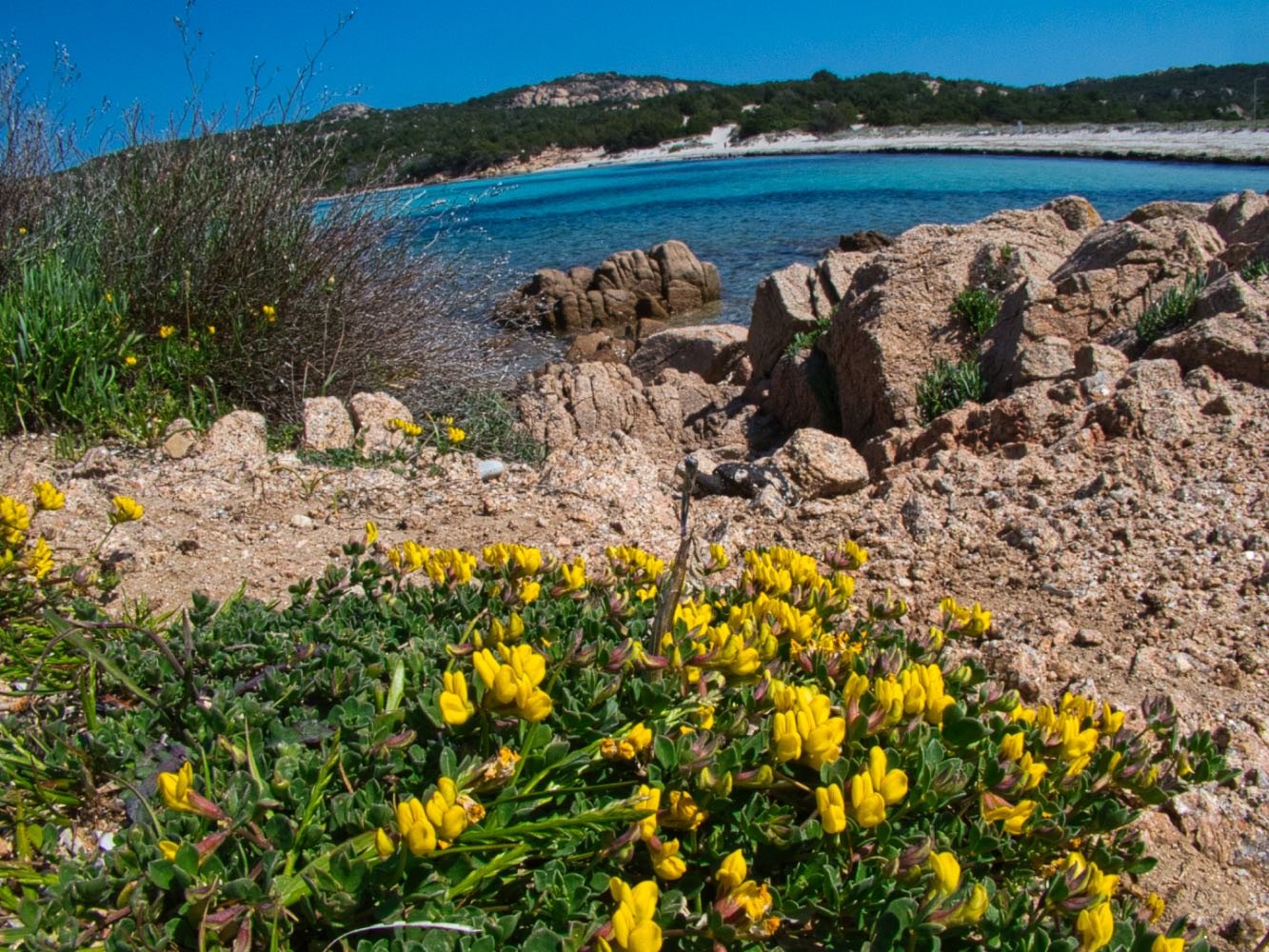 Spiaggia Grande Pevero, Porto Cervo