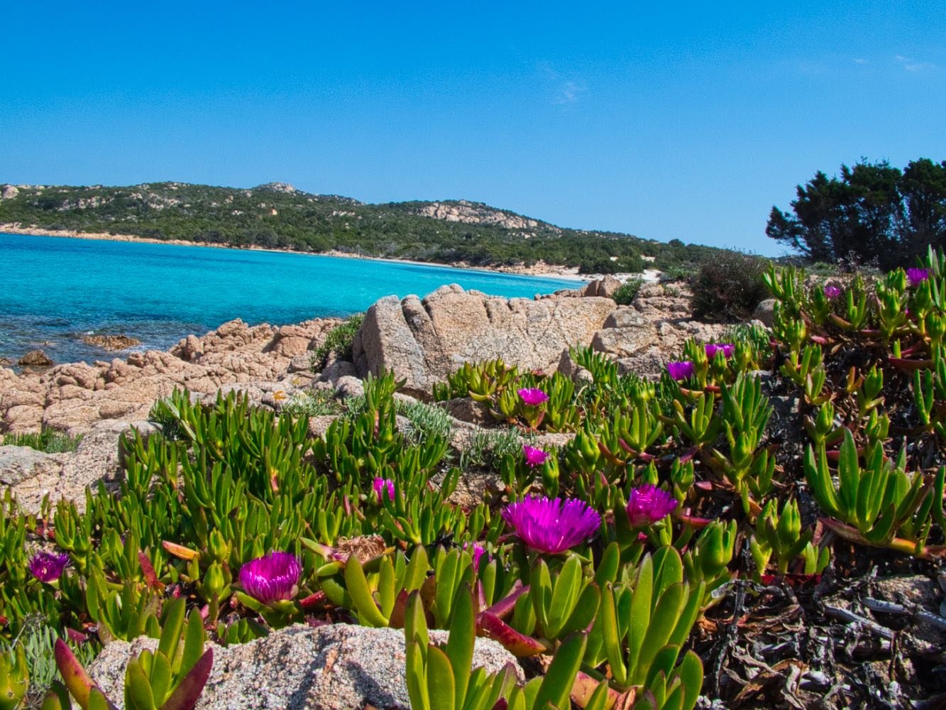 Spiaggia Grande Pevero, Porto Cervo