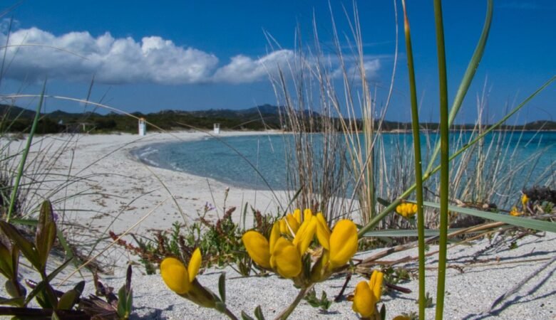 Spiaggia Rena Bianca, Olbia