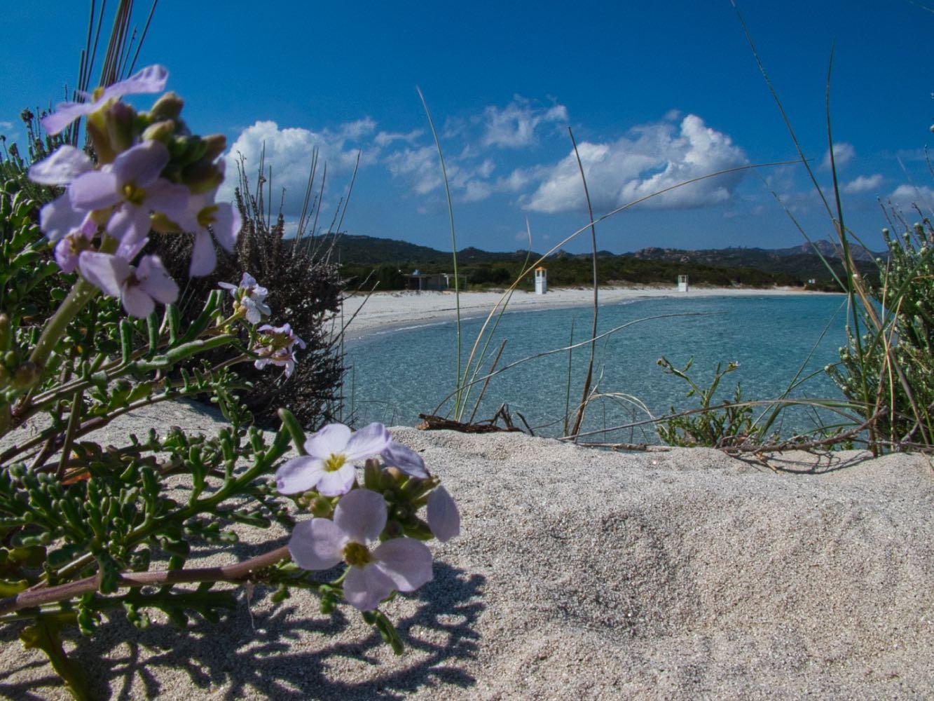 Spiaggia Rena Bianca, Olbia