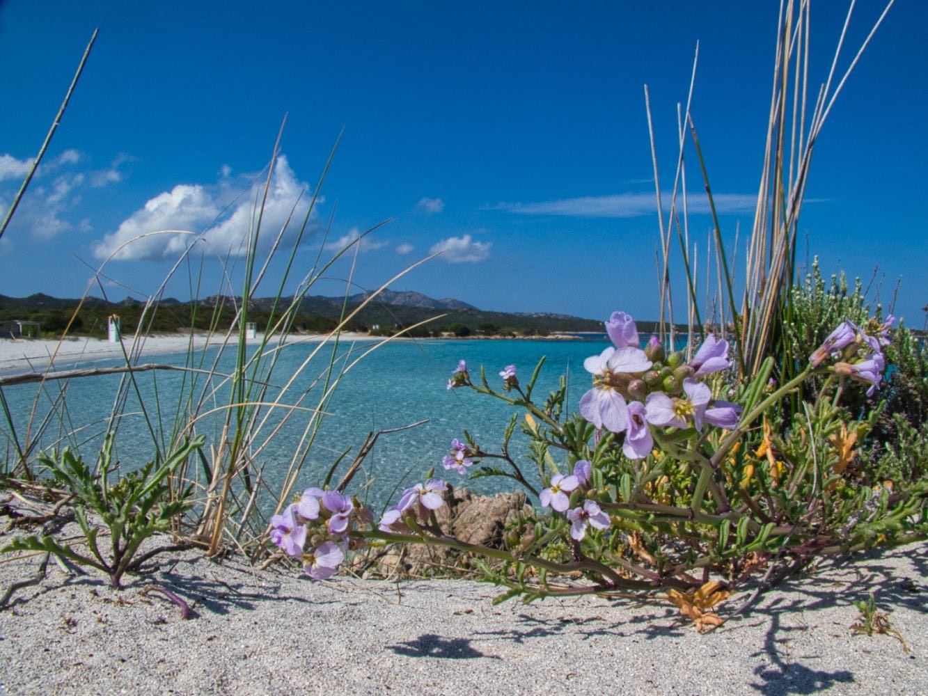 Spiaggia Rena Bianca, Olbia