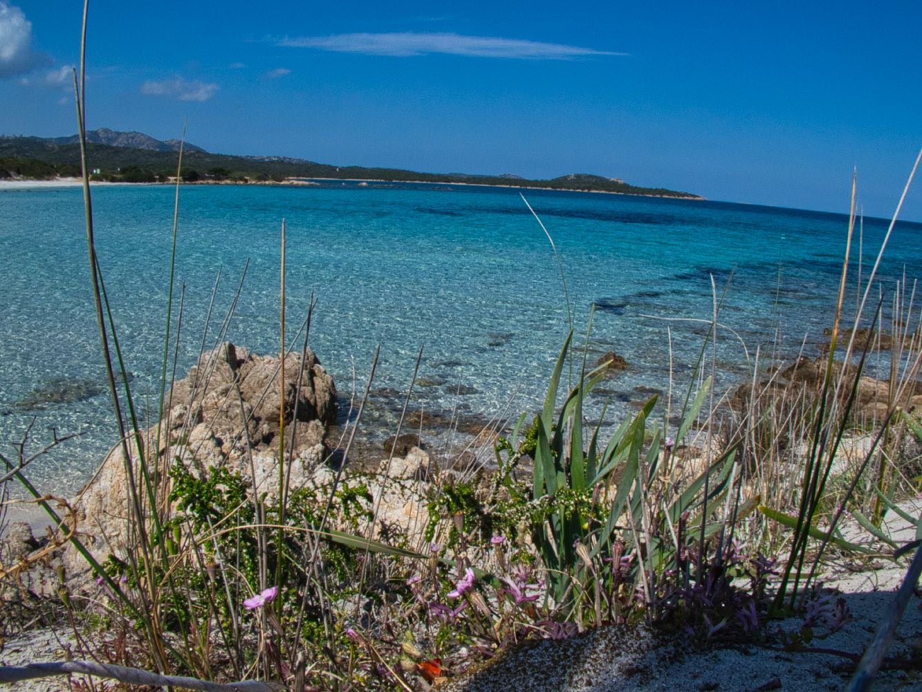 Spiaggia Rena Bianca, Olbia