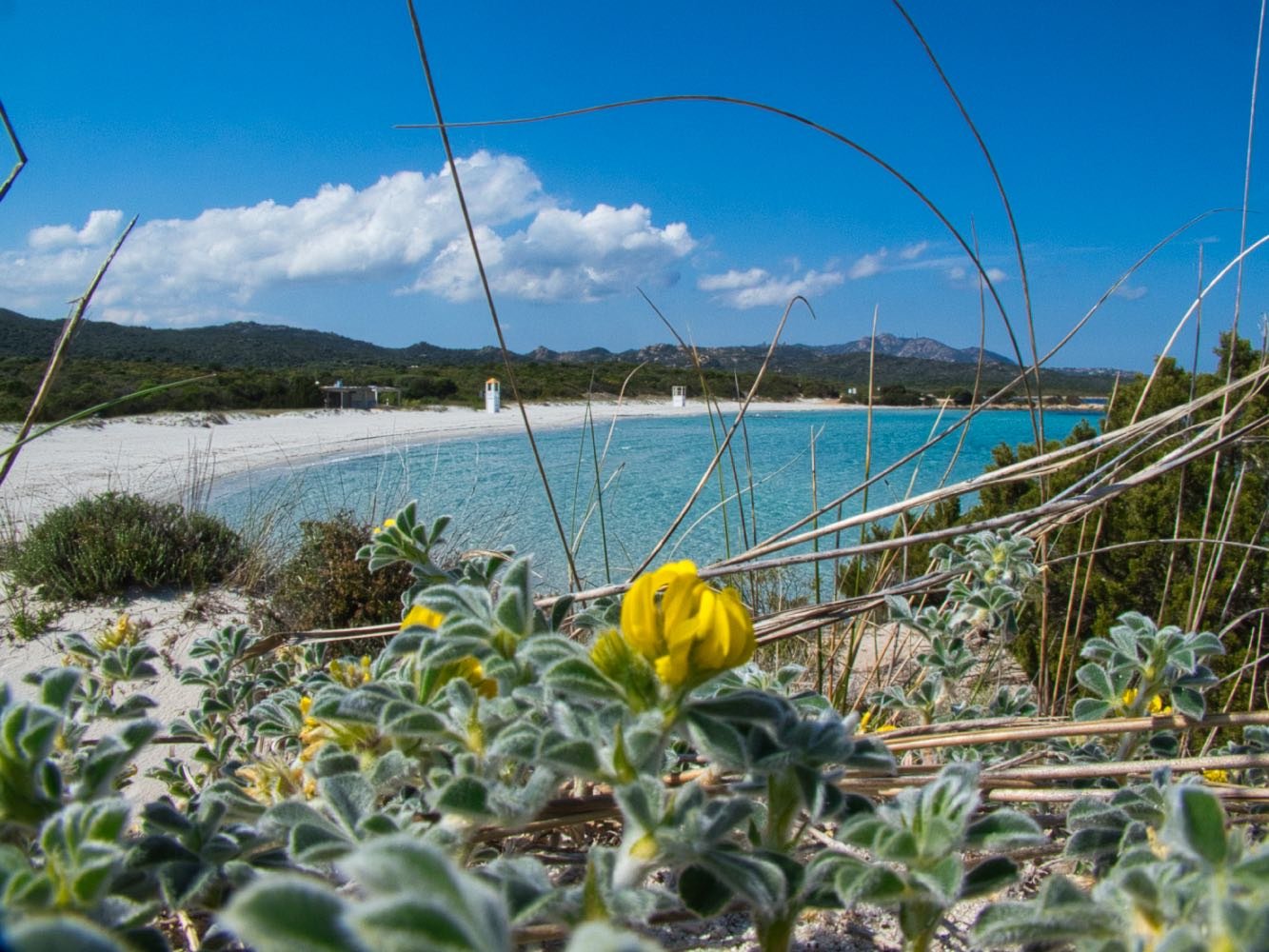 Spiaggia Rena Bianca, Olbia