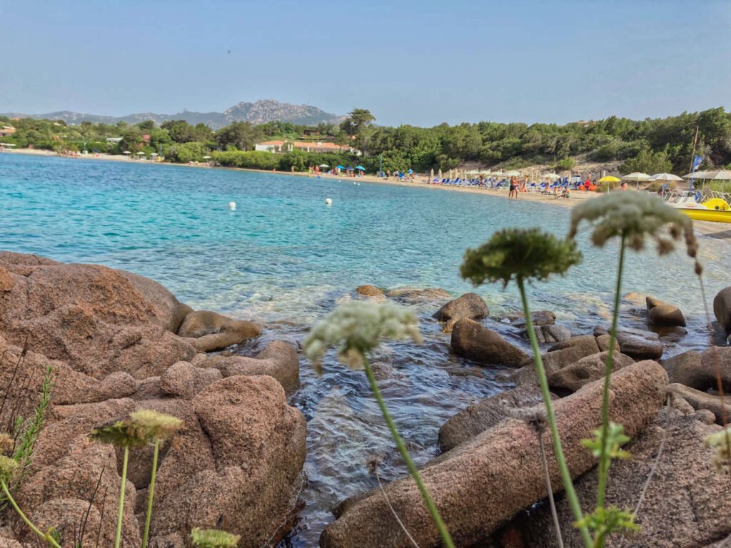 spiaggia la celvia