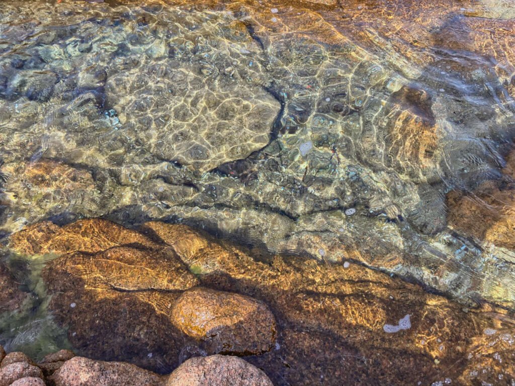 spiaggia la celvia