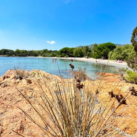 Spiaggia di Li Mucchj Bianchi