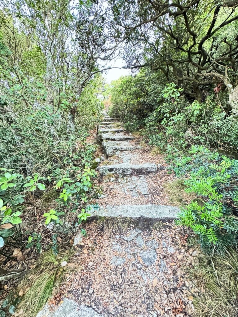 Punto Panoramico Monte Moro