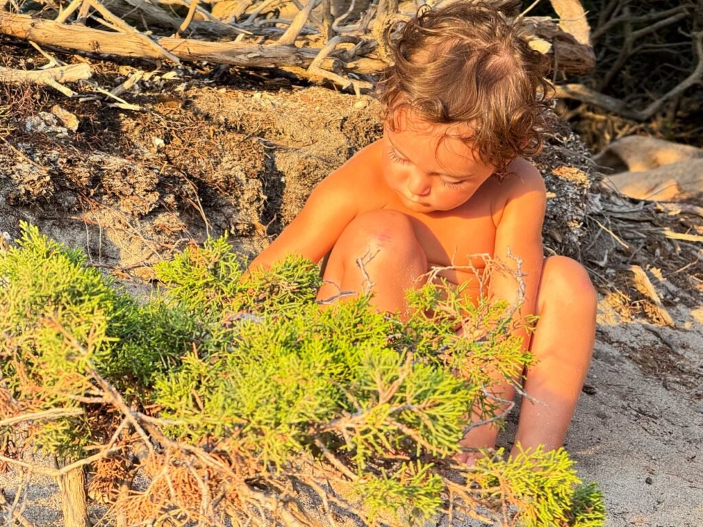 Spiaggia di Capriccioli al Tramonto