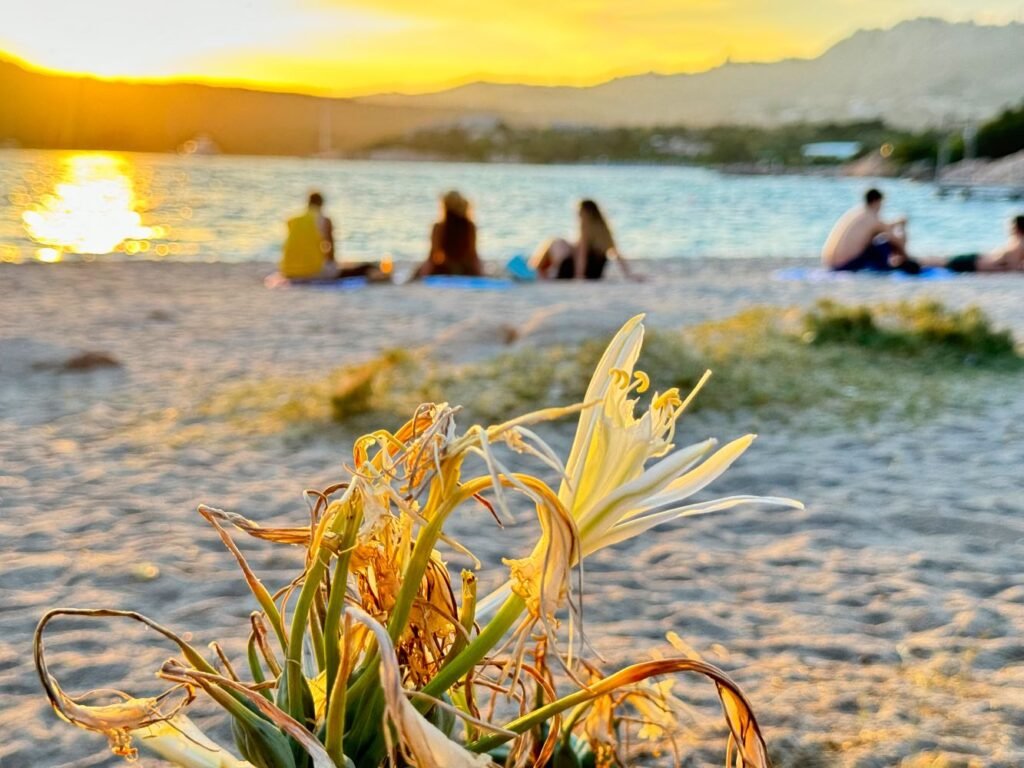 Spiaggia di Capriccioli al Tramonto