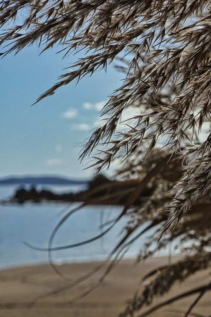 Cosa fare in Sardegna in inverno