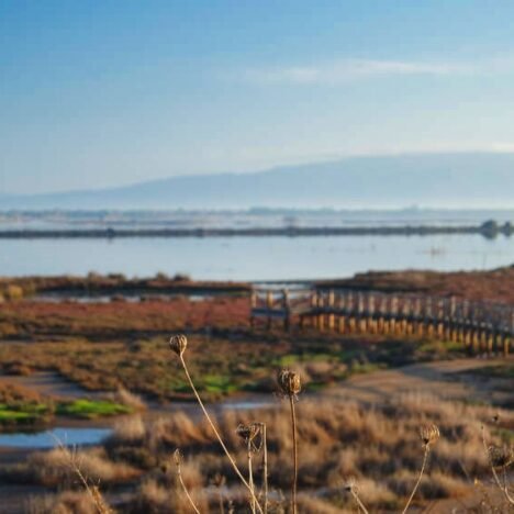 Cosa fare in Sardegna in inverno