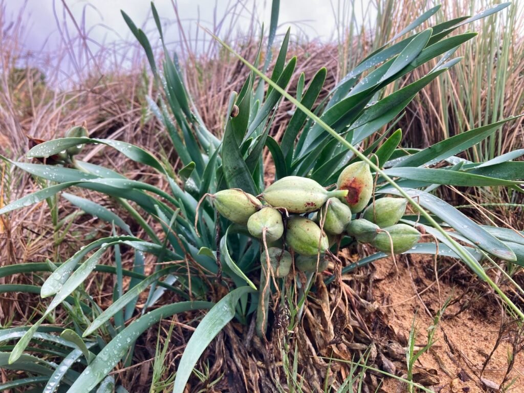 Autunno in Sardegna Stagione da Scoprire