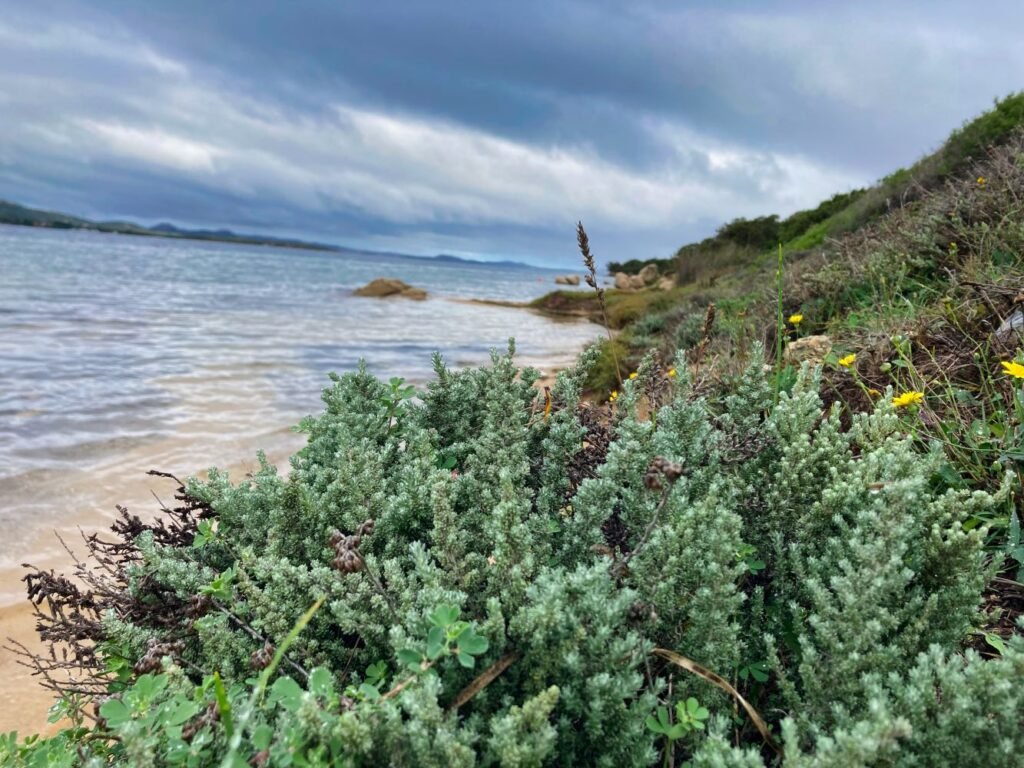 Autunno in Sardegna Stagione da Scoprire