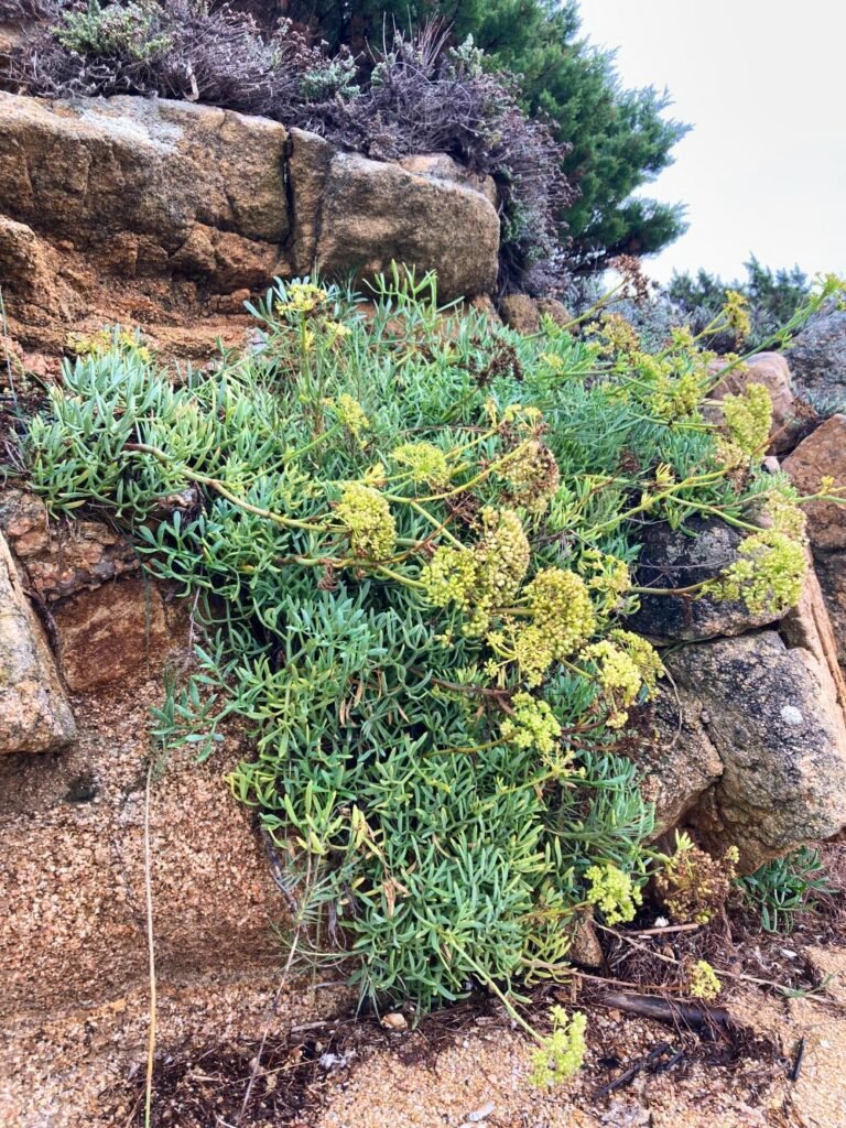 Autunno in Sardegna Stagione da Scoprire