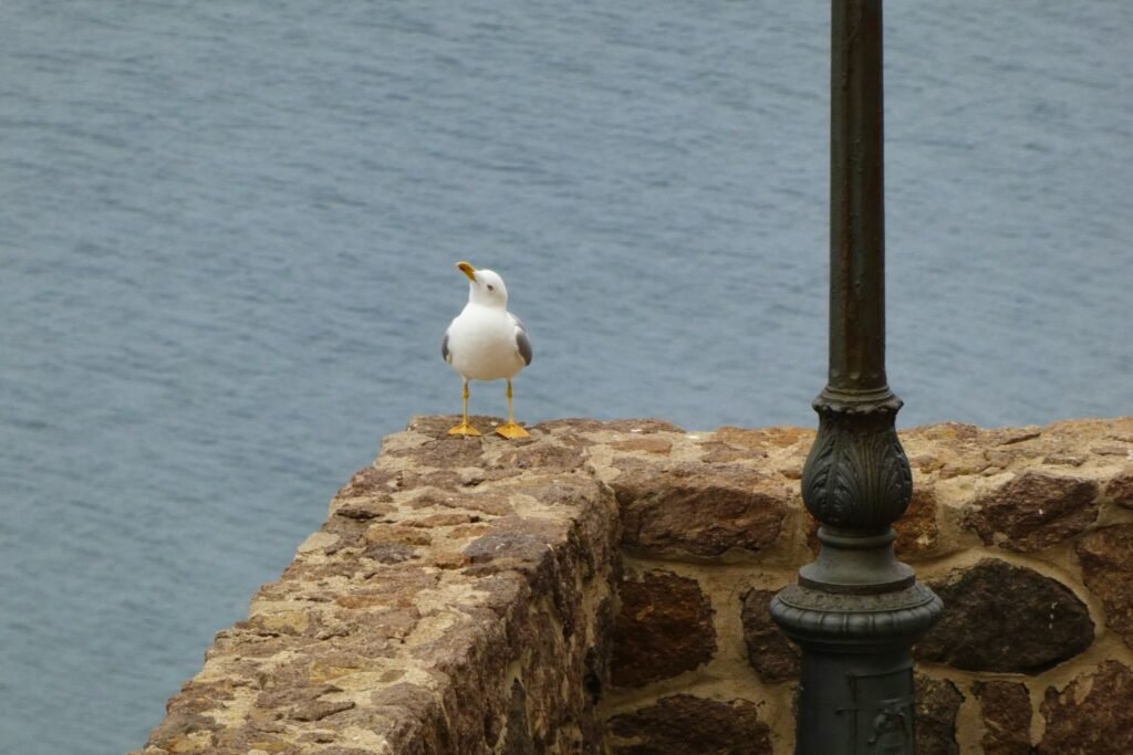 Il borgo medievale di Castelsardo