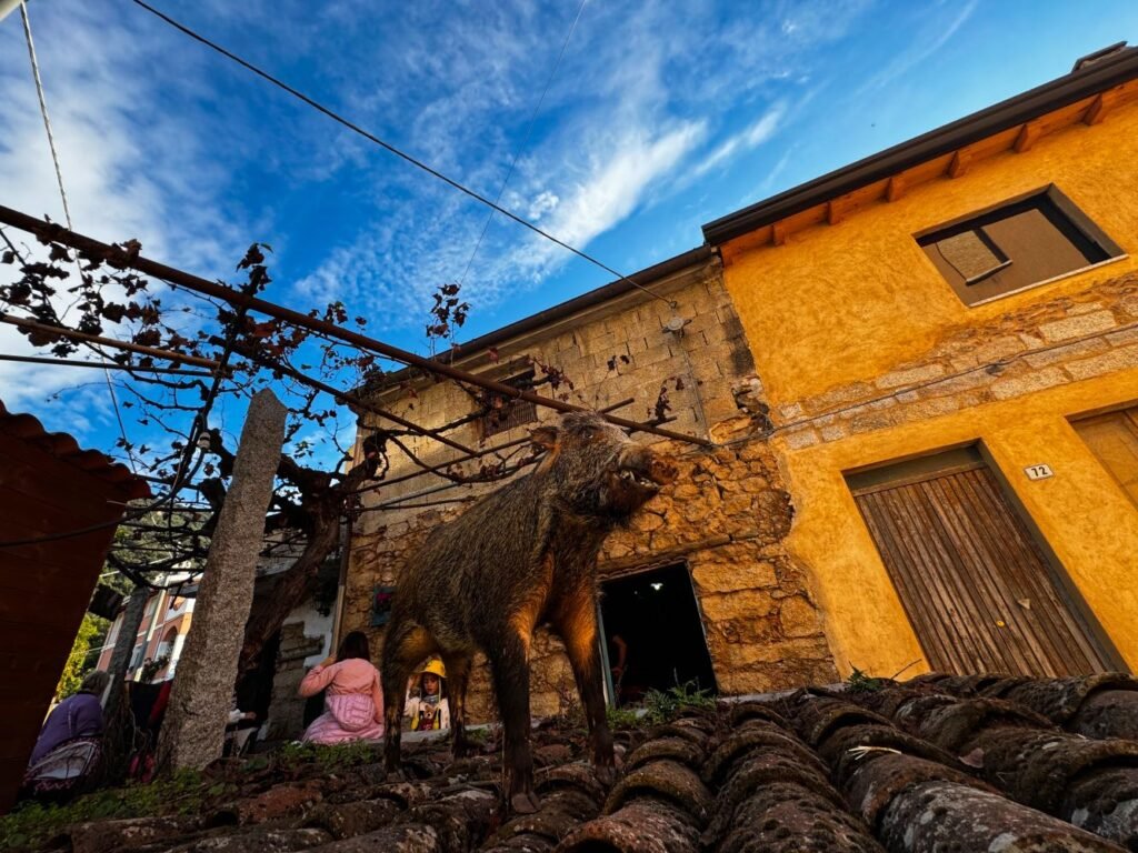 Olzai, Borgo Autentico di Sardegna_JonaJourney