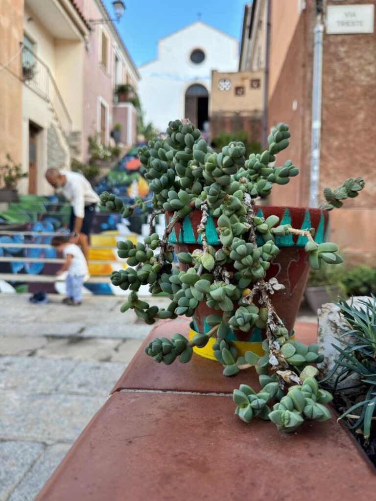 la scalinata di Santa Lucia ad Arzachena _ Jona Journey