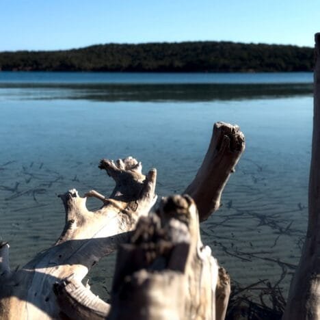 10 Esperienze Imperdibili in Ogliastra